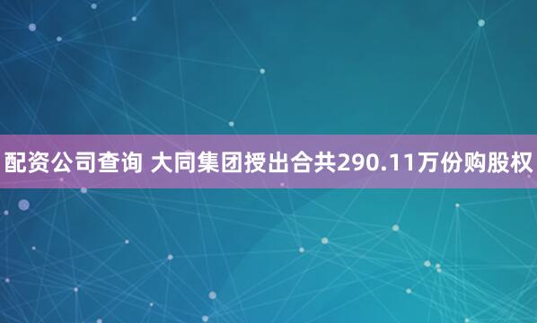 配资公司查询 大同集团授出合共290.11万份购股权